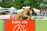 Batman Veranis K-9 Dog Center