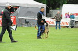 Batman Veranis K-9 Dog Center
