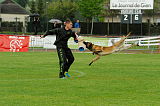 Kazak med Jablani