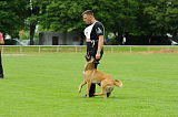 Boy vom Streitwald