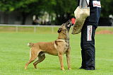 Argo von Asega