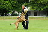Argo von Asega