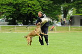 Argo von Asega