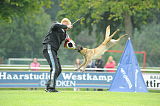 Jessy vom Adlerauge