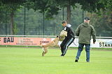 Jessy vom Adlerauge