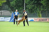 Beau von der Wesenberger Blutbuche