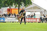 Pepper vom Further Moor