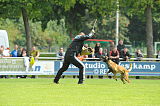 Nitro vom Drachenherz
