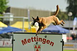 Abby von der Mecklenburger Rüpeln