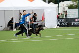 Bluemchen v. Kiebitzende