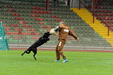 Gipsy vom Steinteich