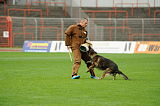 Fero vom Steinteich