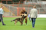 Fero vom Steinteich
