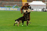 Fero vom Steinteich