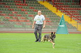 Fero vom Steinteich