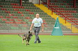Fero vom Steinteich