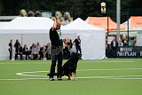 Zoff von der Mohnwiese