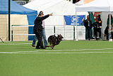 Aro vom Hunde-Hager