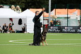 Aro vom Hunde-Hager