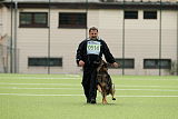 Aro vom Hunde-Hager