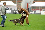 Aro vom Hunde-Hager