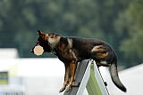 Barack von den Bleicheröder Bergen