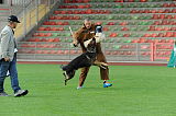 Göran vom Ortenberg
