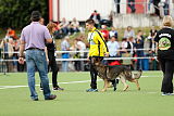 Ares vom alten Grenzhof