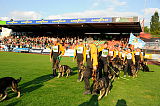 Siegerehrung, Victory ceremony