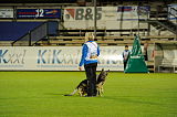 Kato von Haus Targa