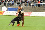 Noxx von der Donauvorstadt