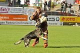 Yago III de Parayas