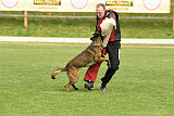 Atas of Hungarian Working Dogs