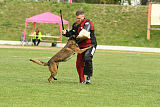 Atas of Hungarian Working Dogs
