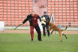 Axel Marshall Dogs
