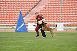 Axel Marshall Dogs