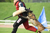 Bolt van Kluggenheim