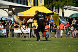 Bison vom bösen Onkel