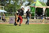 Bazu unter schwarzer Flagge