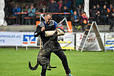 Ebby Fly Dogs Attak