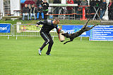 Ebby Fly Dogs Attak