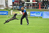 Ebby Fly Dogs Attak