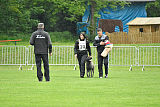 Ebby Fly Dogs Attak