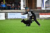 Gauner von der Herdergang