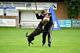 Frenzy's Ferrari of Flying Attacks