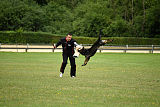 Keno von der Maineiche