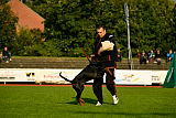 Buddy vom Hexenzauber