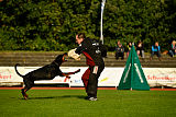 Buddy vom Hexenzauber