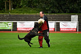 Holland Messi van Le Dobry