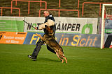 Eyk vom Silvano